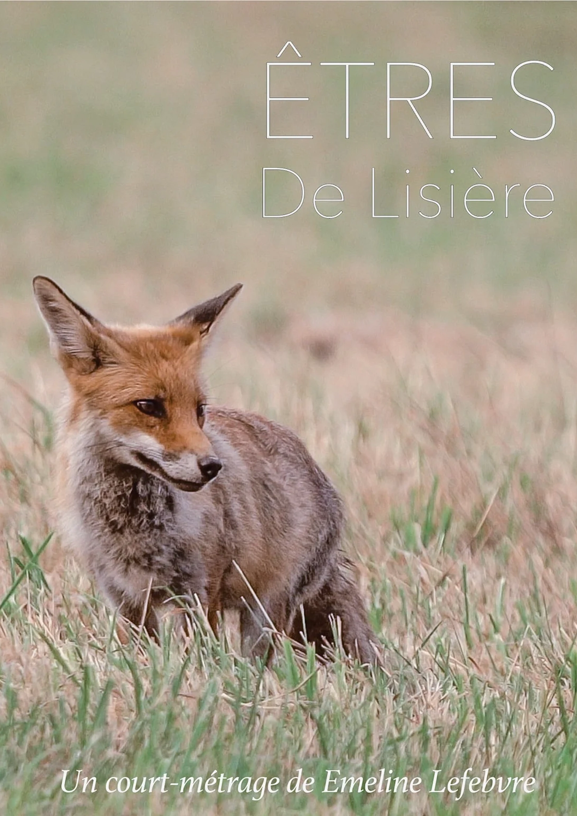 Film Êtres de Lisière